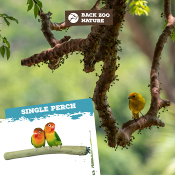 Single Perch Small